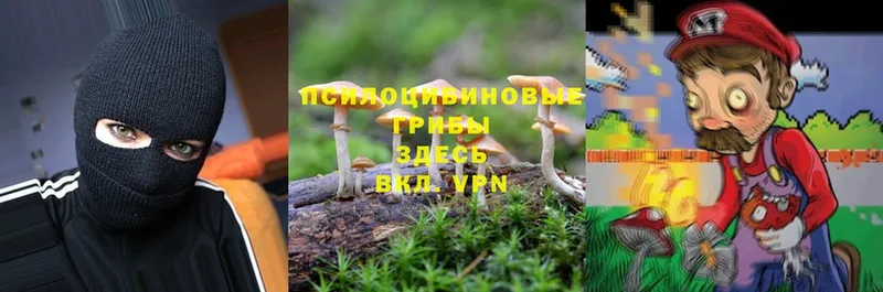 Псилоцибиновые грибы Psilocybine cubensis  купить закладку  Бронницы 